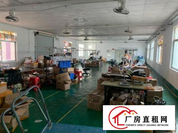  800平米厂房出租（可转）不要转让费