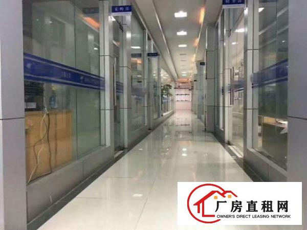  碧岭工业区飞发路新出楼上500平米精装修厂房出租