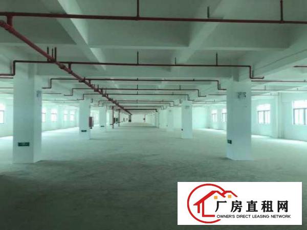 华丰坪山红本场地，可做国际保税返修，可做保税深加工，可开票