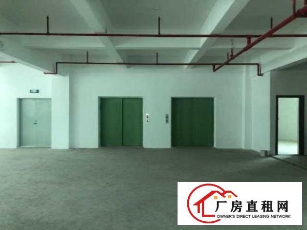  华丰坪山红本场地，可做国际保税返修，可做保税深加工，可开票