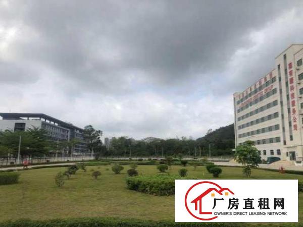  华丰坪山红本场地，可做国际保税返修，可做保税深加工，可开票