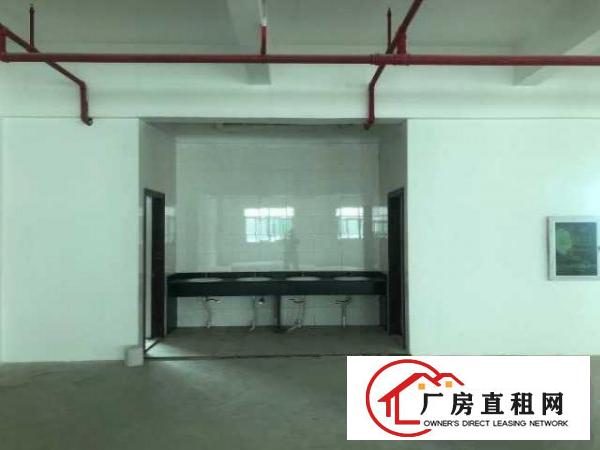  华丰坪山红本场地，可做国际保税返修，可做保税深加工，可开票
