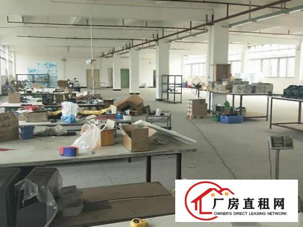  坪山碧岭街道碧岭社区沙坑路新出一楼1150平厂房招租