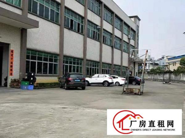  坪山碧岭街道碧岭社区沙坑路新出一楼1150平厂房招租