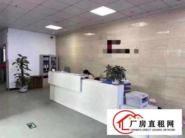  标准实际面积出租，红本原房东。