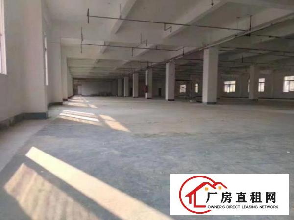  标准实际面积出租，红本原房东。