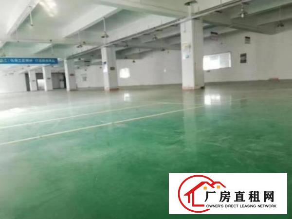  标准实际面积出租，红本原房东。