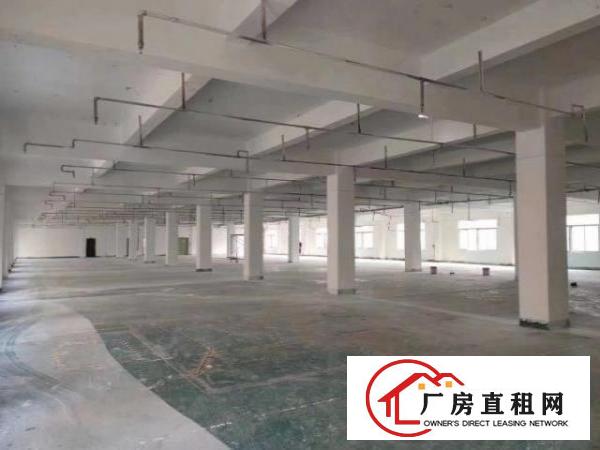  标准实际面积出租，红本原房东。