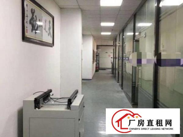  标准实际面积出租，红本原房东。