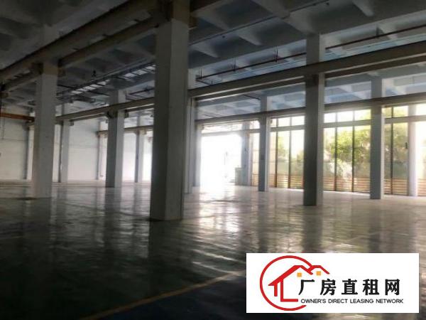 坪山大工业区一楼厂房3000平，层高9米，300平起分租