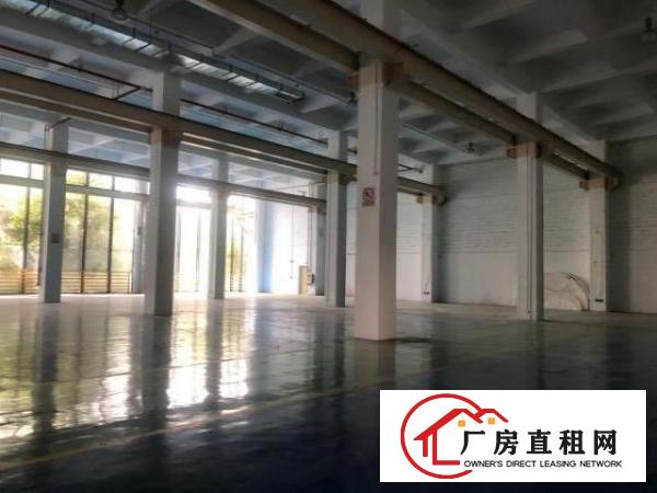  坪山大工业区一楼厂房3000平，层高9米，300平起分租