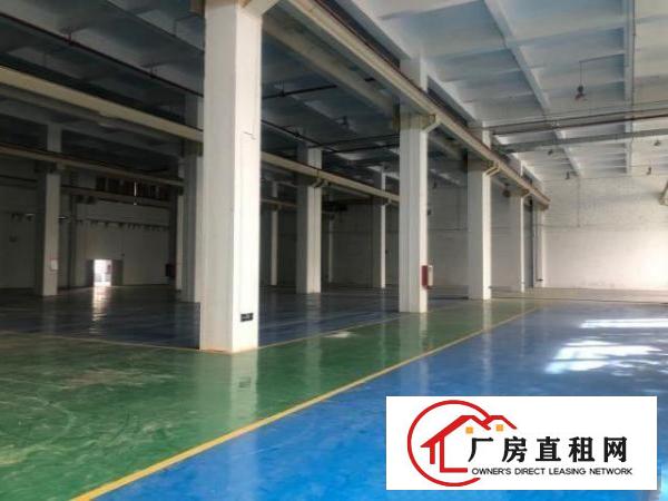  坪山大工业区一楼厂房3000平，层高9米，300平起分租
