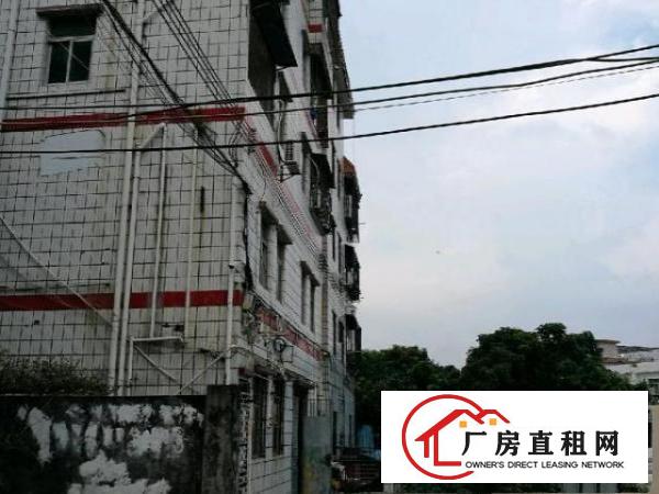  岀租大路边首层180平方米厂房