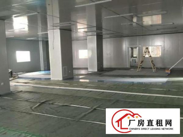  坪山区石井街道独栋独院可分租
