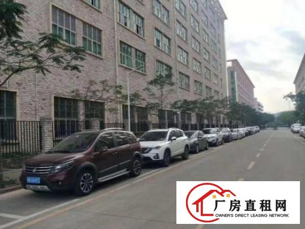  坪山区龙田街道新出原房东红本2000平现成无尘车间厂房出租