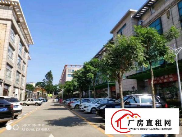  坪山区龙田街道新出原房东红本2000平现成无尘车间厂房出租