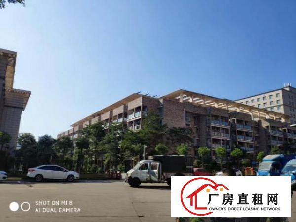  坪山区龙田街道新出原房东红本2000平现成无尘车间厂房出租