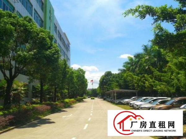  坪山大工业区红本花园厂房出租，单层面积3000