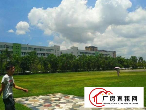  坪山大工业区红本花园厂房出租，单层面积3000