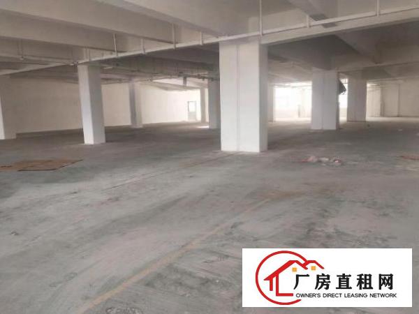  坪山大工业区红本花园厂房出租，单层面积3000