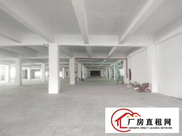  坪山大工业区红本花园厂房出租，单层面积3000