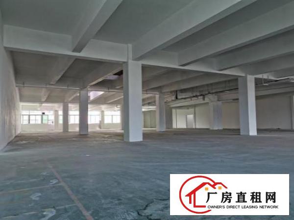  坪山大工业区靓厂房出租，大小分租180㎡~10000㎡