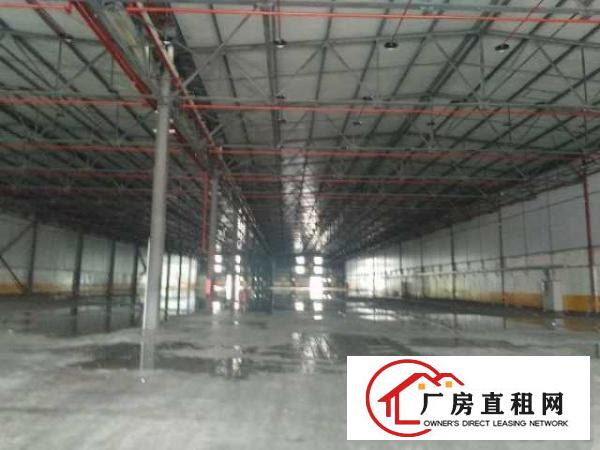  东莞凤岗原房东独院滴水10带行车钢构工业厂房5886平招租