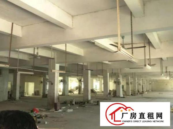  坪山坑梓龙田工业区一二楼厂房共1500平有电梯招租（可分租）