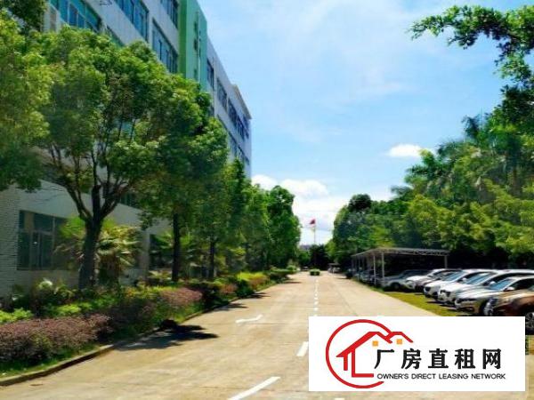  业主直租•坪山红本厂房