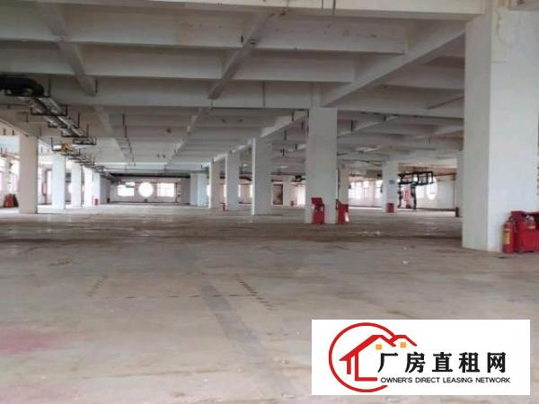  坪山大工业区，50000平方，可做学校，空地大