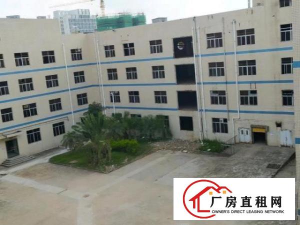  坪山大工业区，50000平方，可做学校，空地大