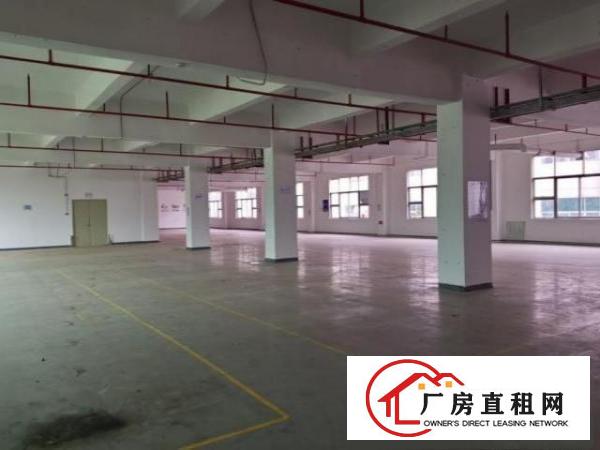  坪山区中兴路厂房环境新可分租