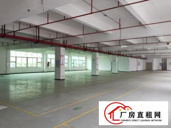  坪山区中兴路厂房环境新可分租