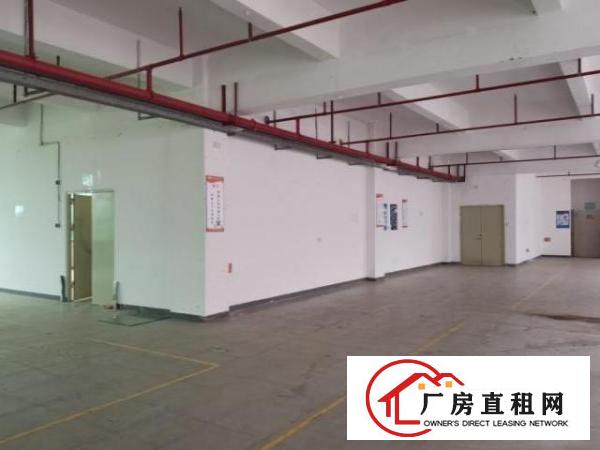  坪山区中兴路厂房环境新可分租