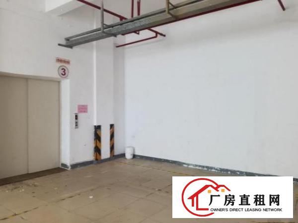  坪山区中兴路厂房环境新可分租