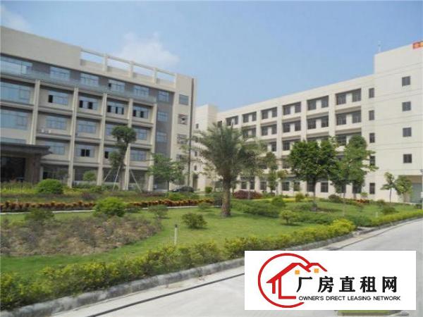  租期12年，佛山原房东10万方物业，明对包租，证照齐全