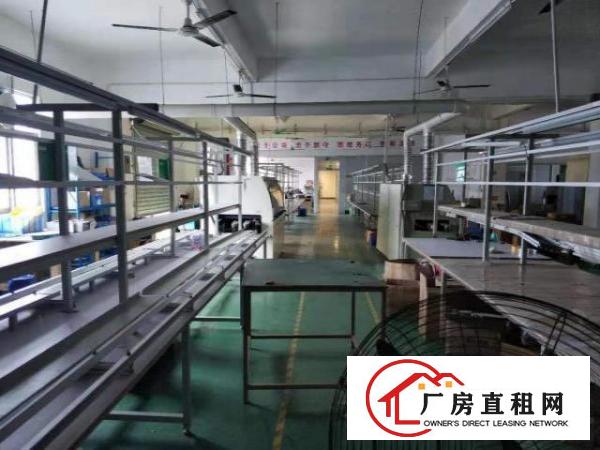  坪山碧岭楼上600平厂房出租精，装修水电齐全