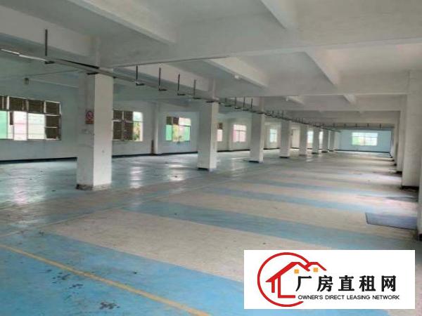  独门独院，一栋厂房加一栋宿舍，小清新