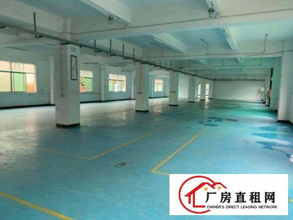  独门独院，一栋厂房加一栋宿舍，小清新