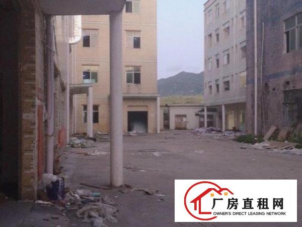  独门独院，一栋厂房加一栋宿舍，小清新