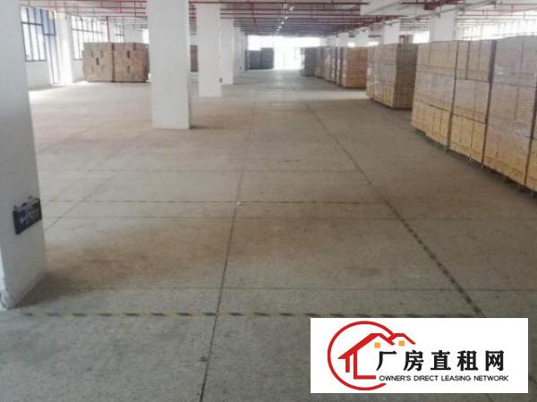  坪山区大工业区原房东厂房3楼1980平米，合同5年一