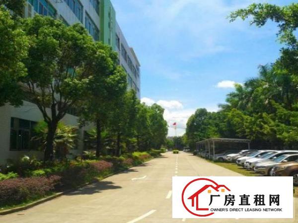  坪山高薪产业园22000平厂房分租优享政府政策补贴300起分