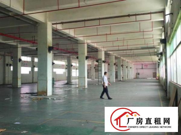  坪山高薪产业园22000平厂房分租优享政府政策补贴300起分