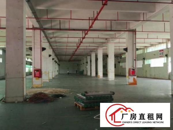  坪山高薪产业园22000平厂房分租优享政府政策补贴300起分