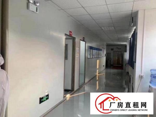  坪山大工业区红本厂房现成无尘车间2000平
