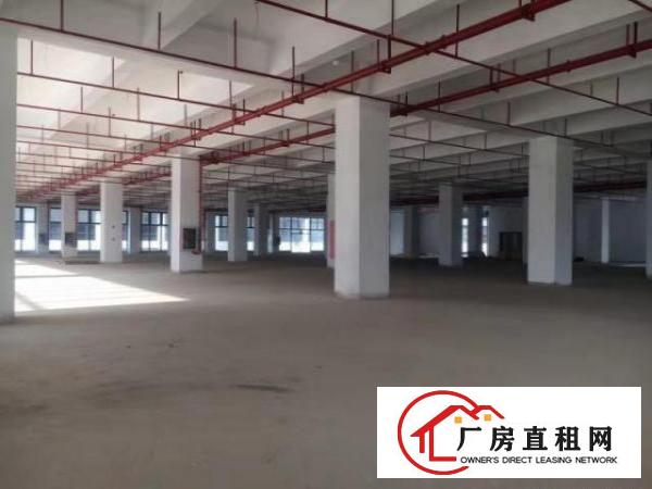  厂房/钢构等一手资源招租信息，欢迎咨询