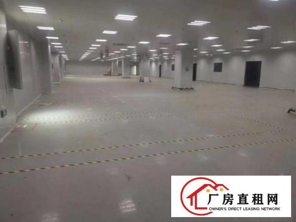  厂房/钢构等一手资源招租信息，欢迎咨询