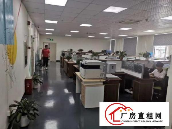  新出精装修厂房，800平方，亮盘有意速看