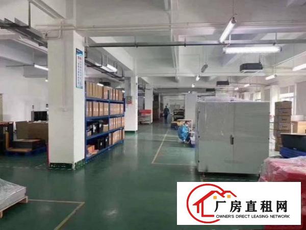  标准实际面积出租，原房东。