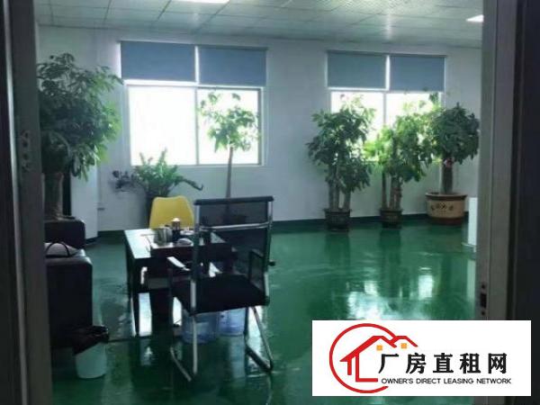  标准实际面积出租，原房东。